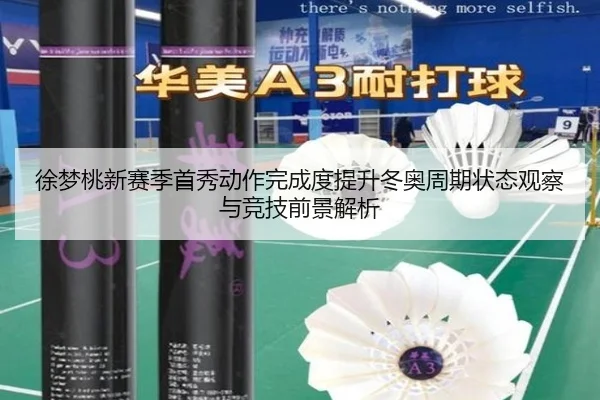 徐梦桃新赛季首秀动作完成度提升冬奥周期状态观察与竞技前景解析（ACMILANSPORTS）